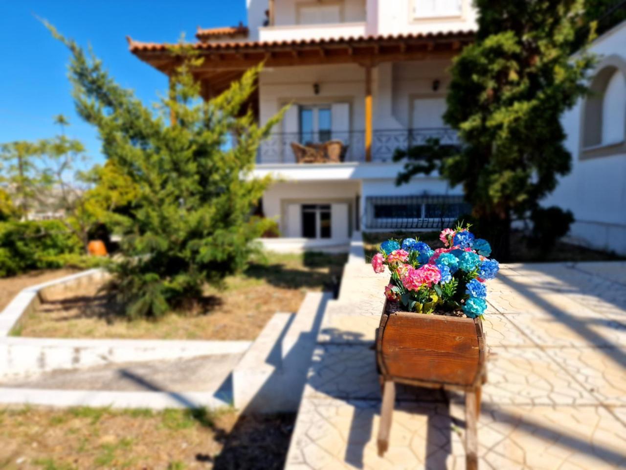 The Mirador Boutique Villa With Scenic Sea View Pórto Ráfti المظهر الخارجي الصورة