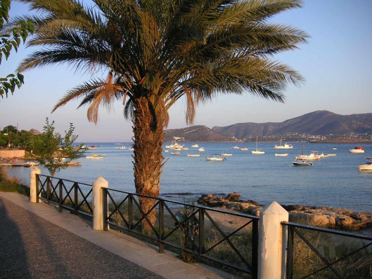 The Mirador Boutique Villa With Scenic Sea View Pórto Ráfti المظهر الخارجي الصورة