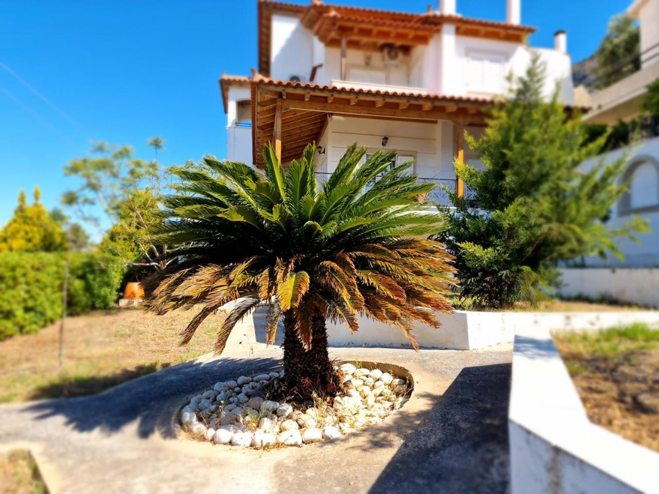 The Mirador Boutique Villa With Scenic Sea View Pórto Ráfti المظهر الخارجي الصورة